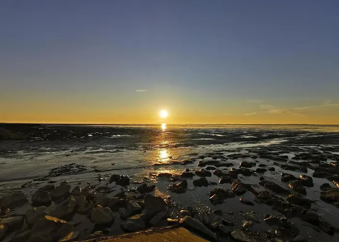 Daire Im Erdgeschoss In *