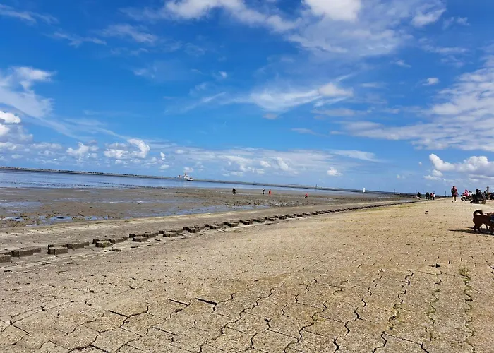 Im Erdgeschoss In Daire