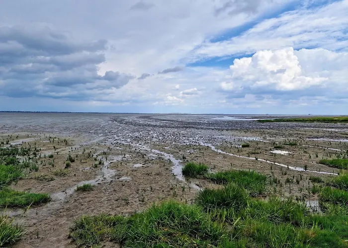 Im Erdgeschoss In Daire *