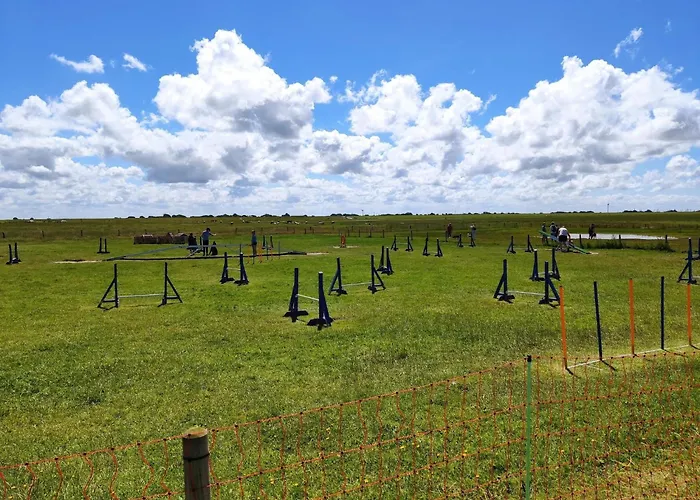 Im Erdgeschoss In Daire *